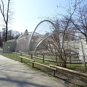 Krakow Zoo 04/2019: jaguar enclosure