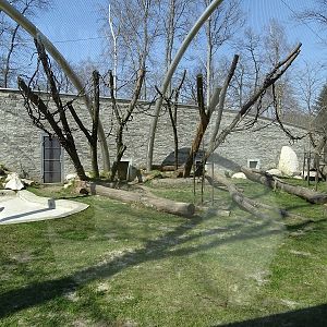 Krakow Zoo 04/2019: Jaguar enclosure