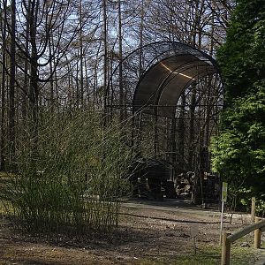 Krakow Zoo 04/2019: manul enclosure