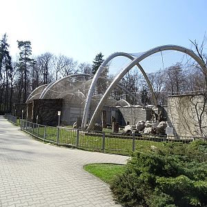 Krakow Zoo 04/2019: North Chinese leopard enclosure