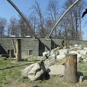 Krakow Zoo 04/2019: North Chinese leopard enclosure