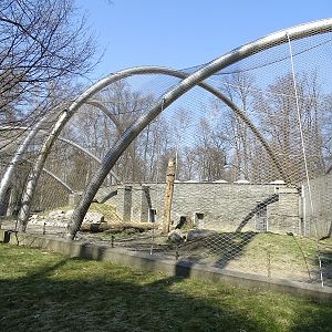 Krakow Zoo 04/2019: Siberian tiger enclosure