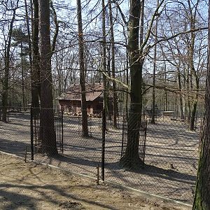 Krakow Zoo 04/2019: Nilgai enclosure