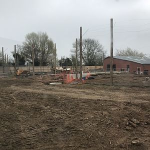 New tiger exhibit progressing well