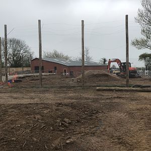 New tiger exhibit progressing well