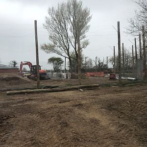 New tiger exhibit progressing well