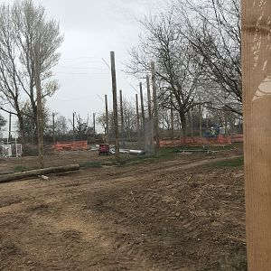 New tiger exhibit progressing well