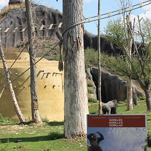 Gorilla-sign and enclosure
