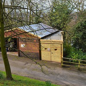 Addition to snow leopard dens.