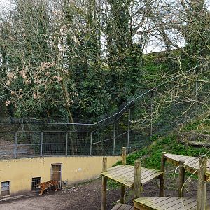 View over tiger dens.