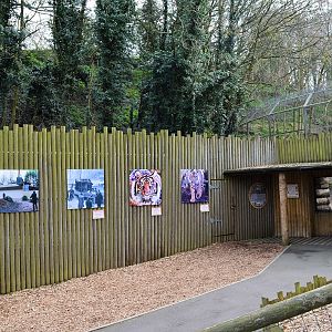 View towards tiger dens