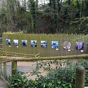 View towards tiger dens 2