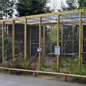 Refurbished great grey owl aviary