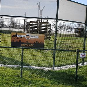 New constructed Baboon-enclosure