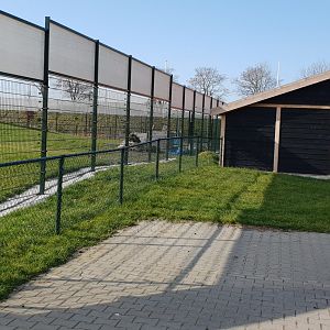 New constructed Baboon-enclosure