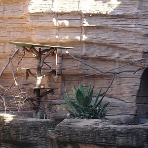 Diana Monkey Enclosure