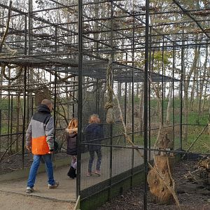 Walk-through Squirrel-enclosure