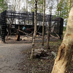 Barbary macaque enclosure