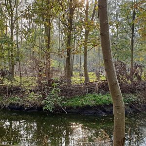 Walk-through monkey islands