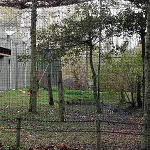Guinea-pig and Wading bird enclosure