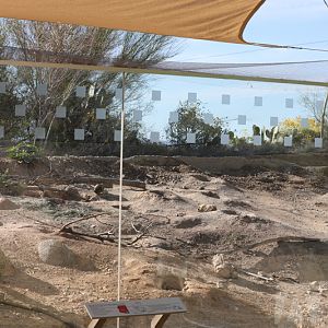 black tailed prairie dog exhibit