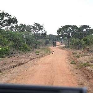 Track through Bundala PK