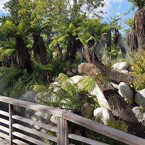 Part of the Australia-area