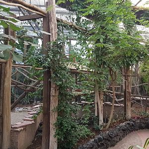 Bear cuscus and Mouse deer enclosure