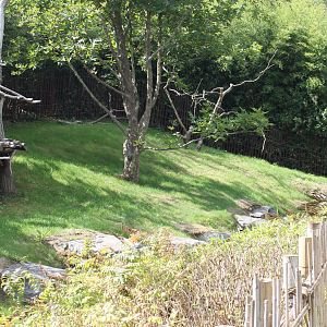 One of the Giant panda-enclosures