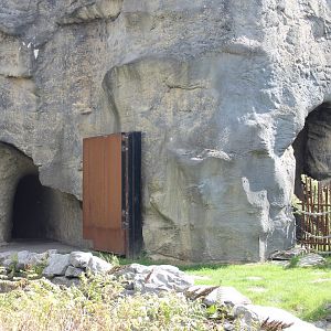 Indoor-enclosure Giant panda