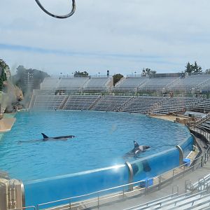 Misty Day over Orcas