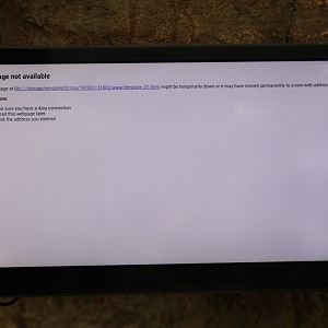 Why You Never Use Electric Signage 101