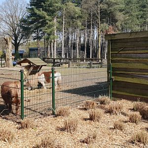 Pony-enclosure
