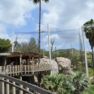 California Condor Exhibit