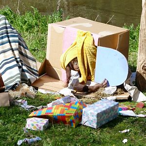 Bornean orangutan birthday, 11 April 2019