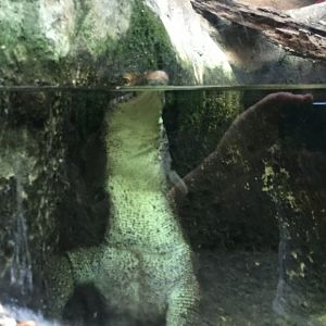 Merterns Water Monitor