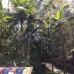 Rainforest Aviary Interior