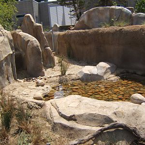 EO turtle/lizard/frog exhibit