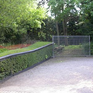 Possible new development?