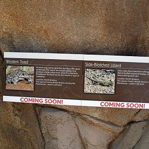 Elephant Odyssey - Streamside Habitat