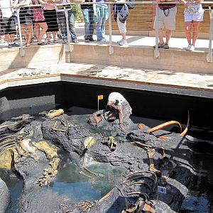 Discover Southern California's Past