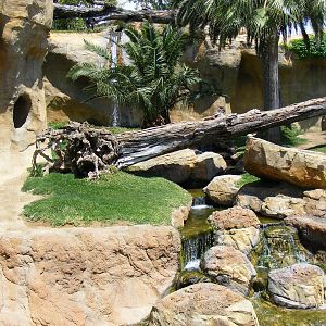 Gorilla enclosure at Fuengirola Zoo, 30 April 2009