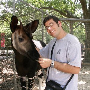 me and the okapi