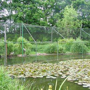 Crane aviaries at NOP, Veldhoven 16/05/09