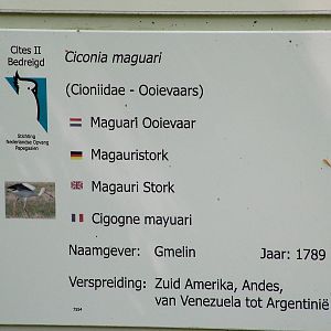 Signage example at NOP, Veldhoven 16/05/09