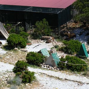 Garden of the Eagles in Benalmadena, 2 May 2009