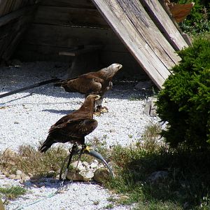 Garden of the Eagles in Benalmadena, 2 May 2009