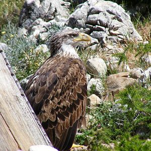 Garden of the Eagles in Benalmadena, 2 May 2009