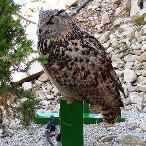 Garden of the Eagles in Benalmadena, 2 May 2009