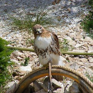 Garden of the Eagles in Benalmadena, 2 May 2009